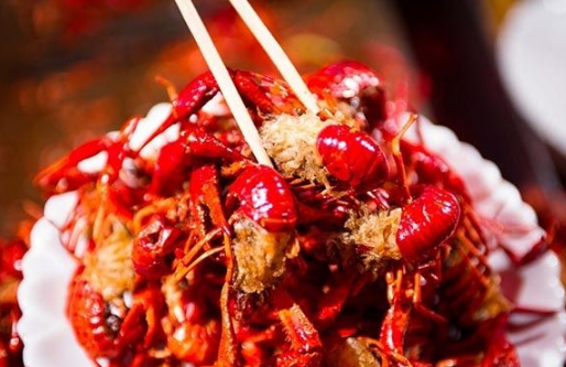 餐飲業(yè)存在很多的偶然性，別迷信成功學(xué)
