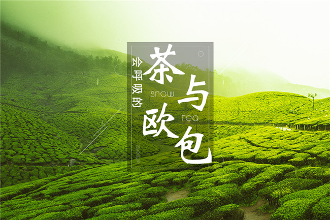 9個(gè)月開600家店，漫雪的茶憑啥攻占全國(guó)市場(chǎng)？|餐飲界